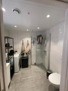 Splitter ny, romslig leilighet sentralt på Nyhavna leies ut - 6