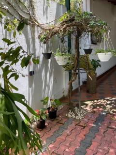Villa Ever Green Matara - Matara - 1