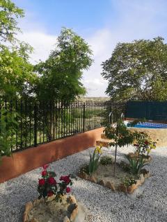 Casa Cueva Maite - Cortes de Baza - 8