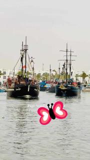 011 -118-121 camus - Houmt Souk - 0