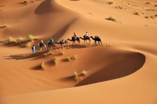 Luxurious Merzouga Desert Camps - Merzouga - 9
