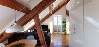 Exklusive Penthouse Wohnung, nahe zur Schweiz DA VINCI - 1