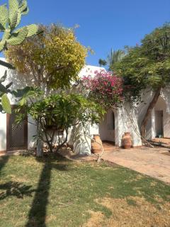 Villa Domina Coral Bay - 8