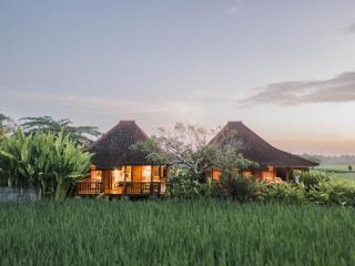 Umadesa Ubud - Ubud - 0