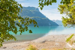 Brienz Youth Hostel - Brienz - 8