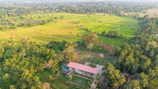 Hungili Farm & Eco Resort - 8