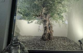 3 Bedroom Lovely Home In Dugi Rat - Dugi Rat - 1