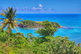 Blue Whale Villa - Penthouse - 1