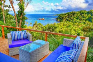 Blue Whale Villa - Penthouse - Calibishie - 8