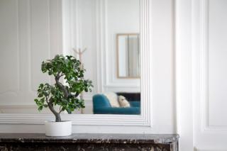 Le Central - hypercentre standing wifi tv - 1