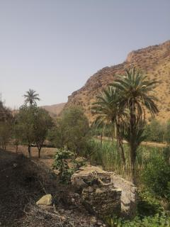 Auberge Kasbah Amoun - Taliouine - 9