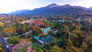 Summit Green Lake Tea Resort & Spa - Kāziranga - 0