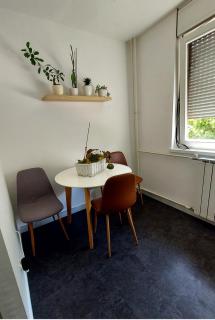Apartment Arena Zagreb 47m2 - 5