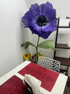 La Corte di Lorenzo Bari vecchia - 8