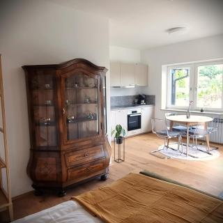 Apartments in Graz - Graz - 0