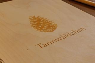 TANNWÄLDCHEN Wanderparadies vor der Tür Balkon mit Traumblick Sauna im Haus Tiefgarage E-Ladestation - Todtnauberg - 2
