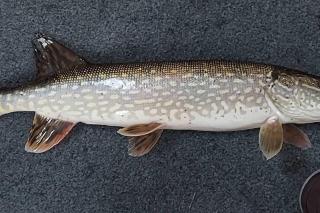 Lakefront Hideaway - 9