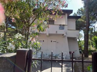 Holiday home in Rosolina Mare 25059 - Rosolina Mare - 1