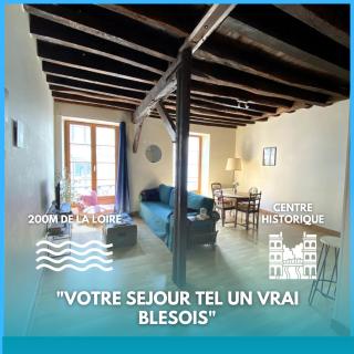 L'escapade blésoise - Hyper Centre - Blois - 0