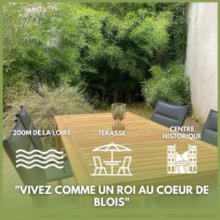 Le nid des rois - Terrasse en hyper centre - Blois - 0
