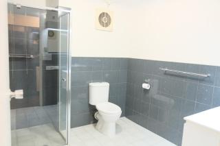 Adelaide Royal Coach - 1