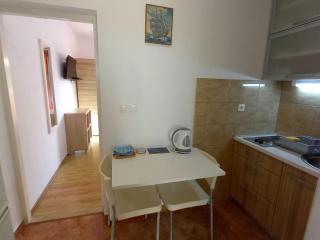 Apartments Vinko Mljet- One-Bedroom Apartment with Terrace A4 - Sobra - 9