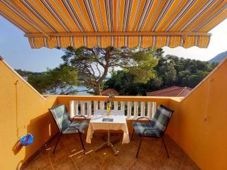 Apartments Vinko Mljet- One-Bedroom Apartment with Terrace A4 - 0