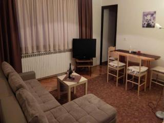Apartments & Rooms Renduli - One Bedroom Apartment with Balcony - Rakovica - 8