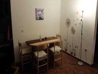 Apartments & Rooms Renduli - One Bedroom Apartment with Balcony - Rakovica - 7