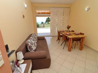 Apartments Villa Michele-One Bedroom Apartment with Terrace Smokva - Orebić - 0