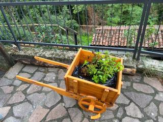 Villa Allegra Apartments in The Nature - 3