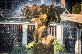 Ferienwohnung am Kurpark - Bahnhofstraße 21 - 9