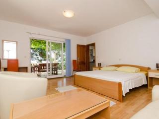 Apartments Plavac Mali- Comfort One Bedroom Apartment with Terrace and Sea View - Potomje - 1
