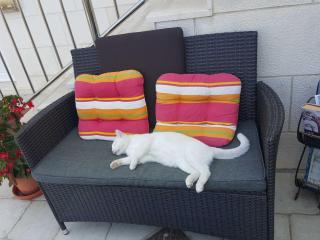 Apartments Pojko - Standard One-Bedroom Apartment with Terrace Red - Dubrovnik - 9