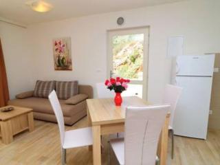Apartments Seafront Silence - Studio Apartment with Terrace and Sea View - Trstenik - 9