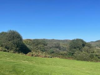 Sunny Corner Farm - St Austell - 8