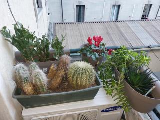 Confortable flat near pz Firenze - Milan - 2
