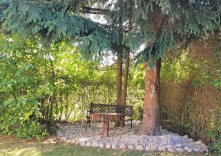 Ferienhaus Mariena am Waldrand - Dargun - 8