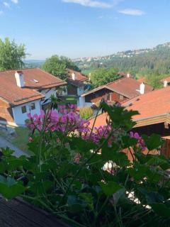 Appartement In Raßreuth Mit Gemeinsamem Pool - Hauzenberg - 5