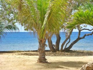 Gold View Beachfront Resort - Timbaon - 6