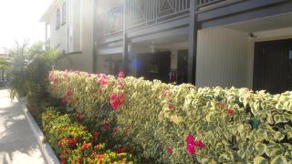 Ixora - Saint James - 4