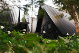 ZlatAir Black Boutique Chalets - Nova Varoš - 2