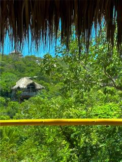Bird Sanctuary - Mazunte - 5