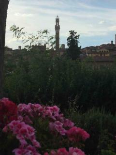 La dogana - Siena - 9