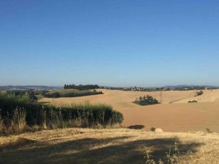 La dogana - Siena - 8