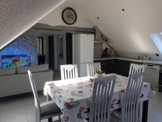 Gîte l'Oiseau du Paradis - Appartement moderne au cœur de l'Alsace - Baldenheim - 0