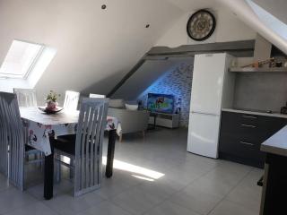 Gîte l'Oiseau du Paradis - Appartement moderne au cœur de l'Alsace - Baldenheim - 6