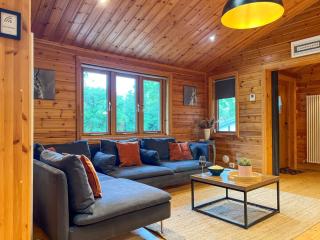 Sky Lodge, Great Ayton spacious dog friendly lodge with hot tub and on site bistro - 6