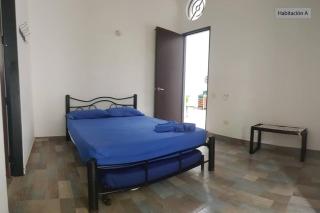 Palmary Tropical - Melgar - 1