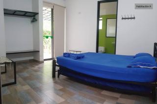Palmary Tropical - Melgar - 6